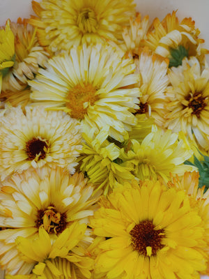 Zuzu's Flowers