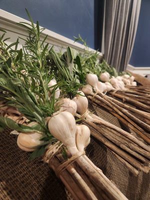 Garlic