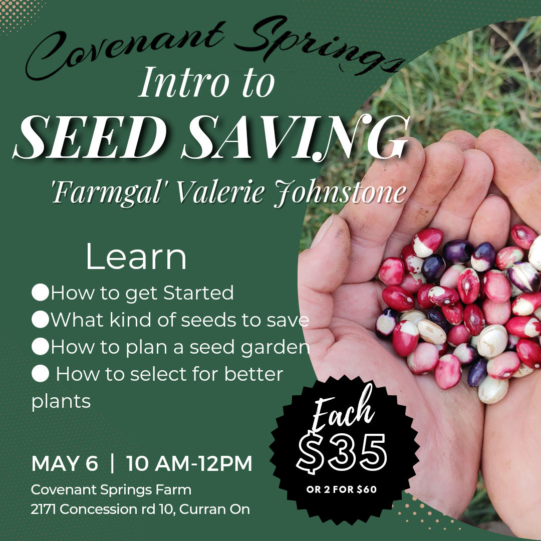 Intro to Seedsaving Workshop
