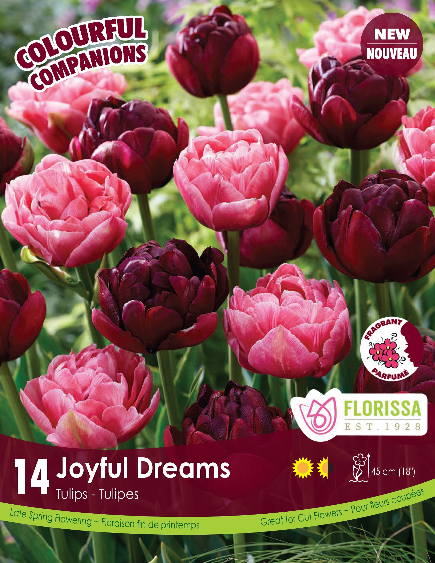 Colorful Companions - Joyful Dreams