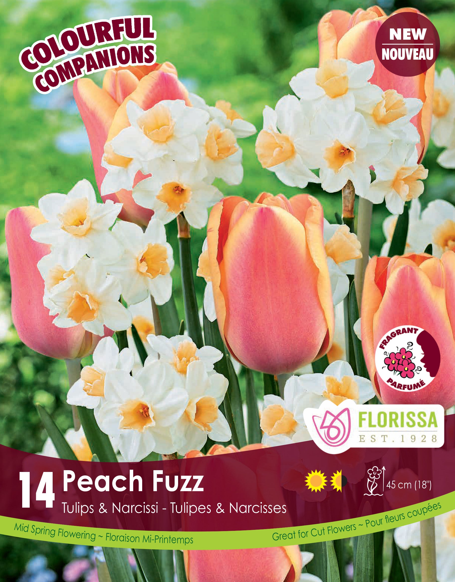 Colorful Companions - Peach Fuzz