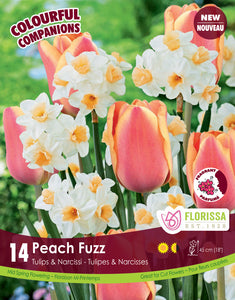 Colorful Companions - Peach Fuzz