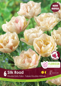 Tulip Double Early - Silk Road