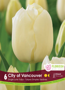 Tulip Darwin - City of Vancouver