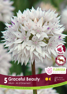 Allium - Graceful Beauty