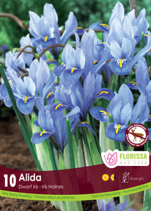 Iris - Alida