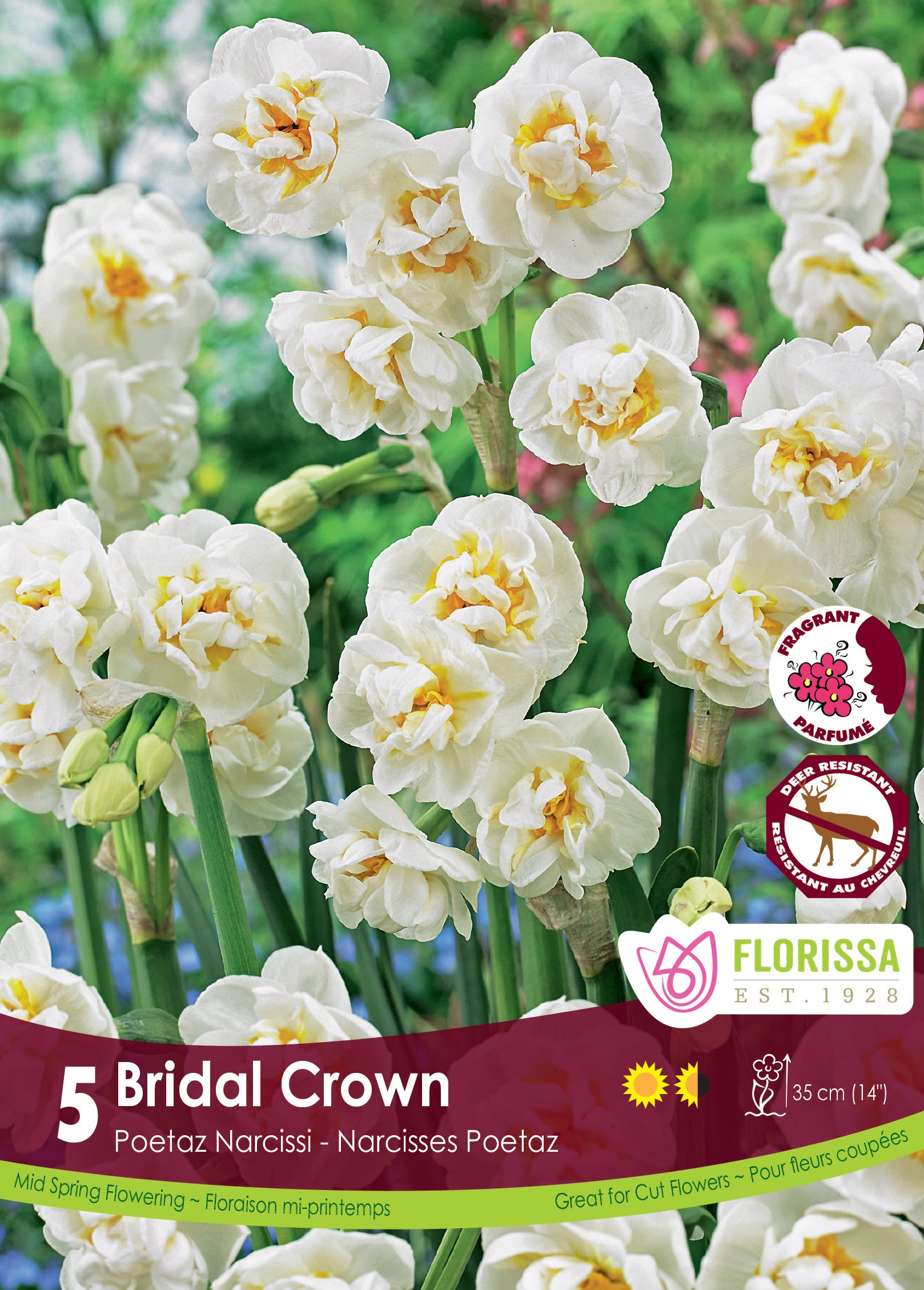 Daffodile - Bridal Crown