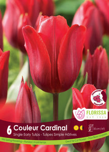 Tulip Single Early - Couleur Cardinal