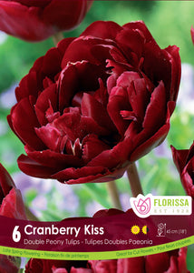Tulip Double Peony - Cranberry Kiss