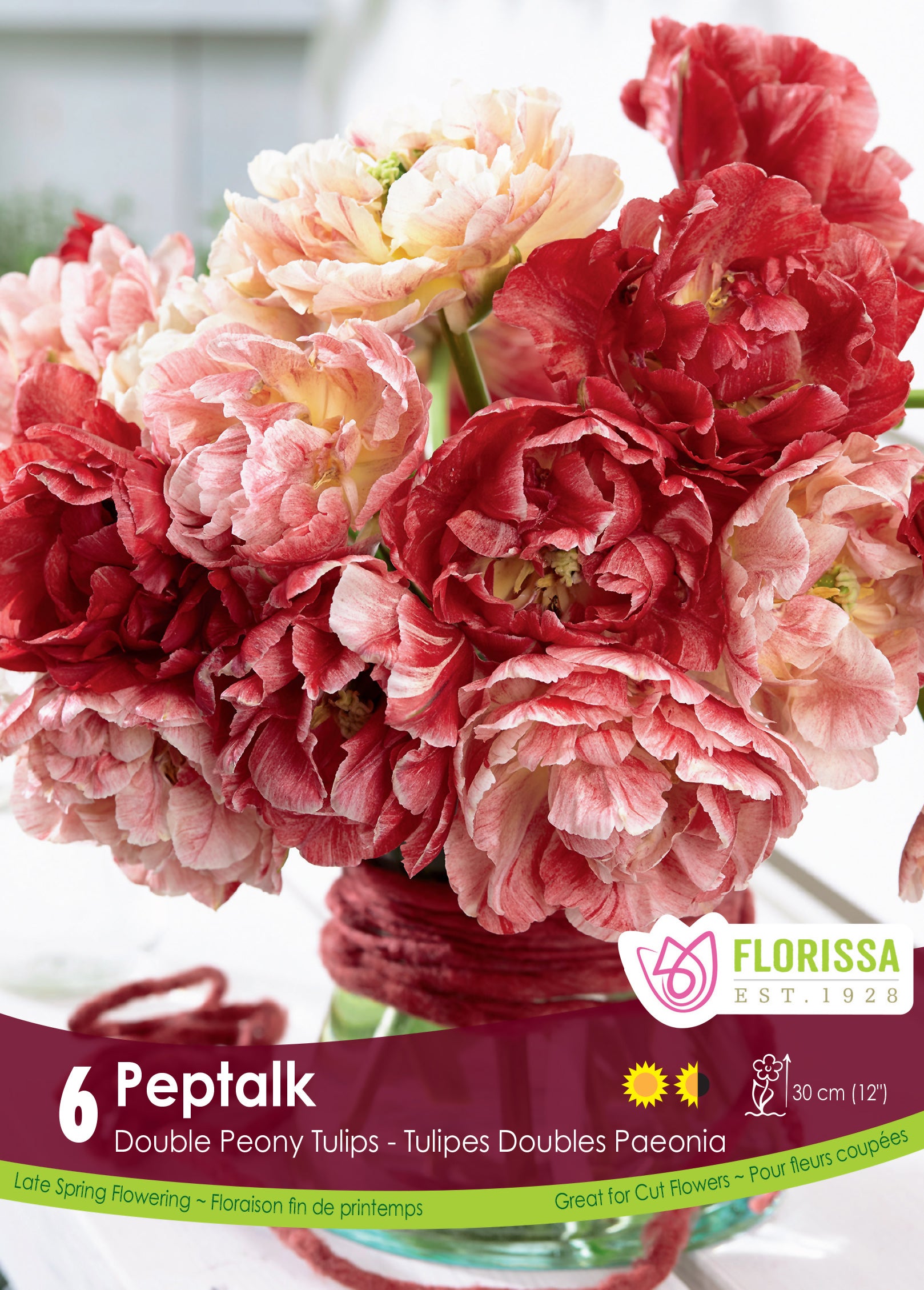 Tulip Double Peony - Pep Talk