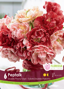 Tulip Double Peony - Pep Talk