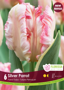 Tulip Parrot - Silver