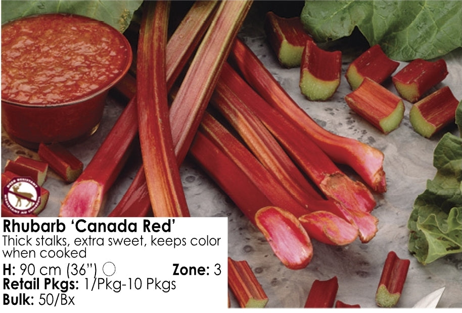 Rhubarb - Canada Red