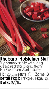 Rhubarb - Holsteiner Blut