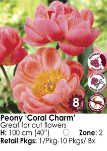 Peony - Coral Charm