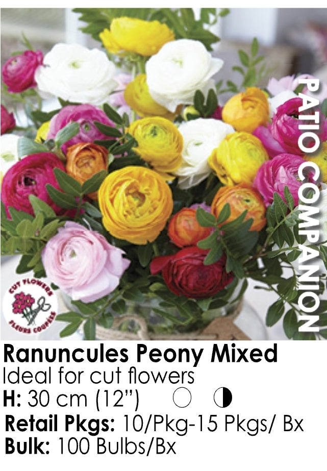 Ranunculus - Peony Mix (20)