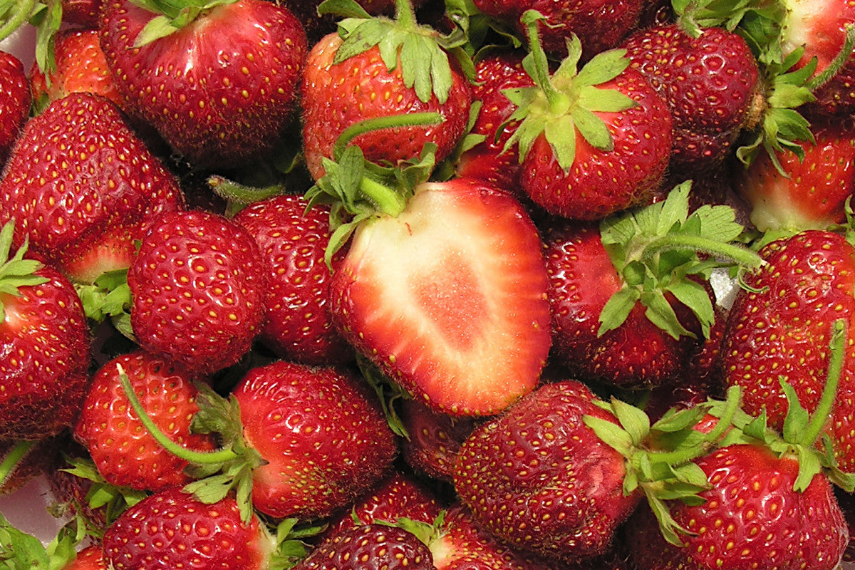 Strawberry - Cavendish