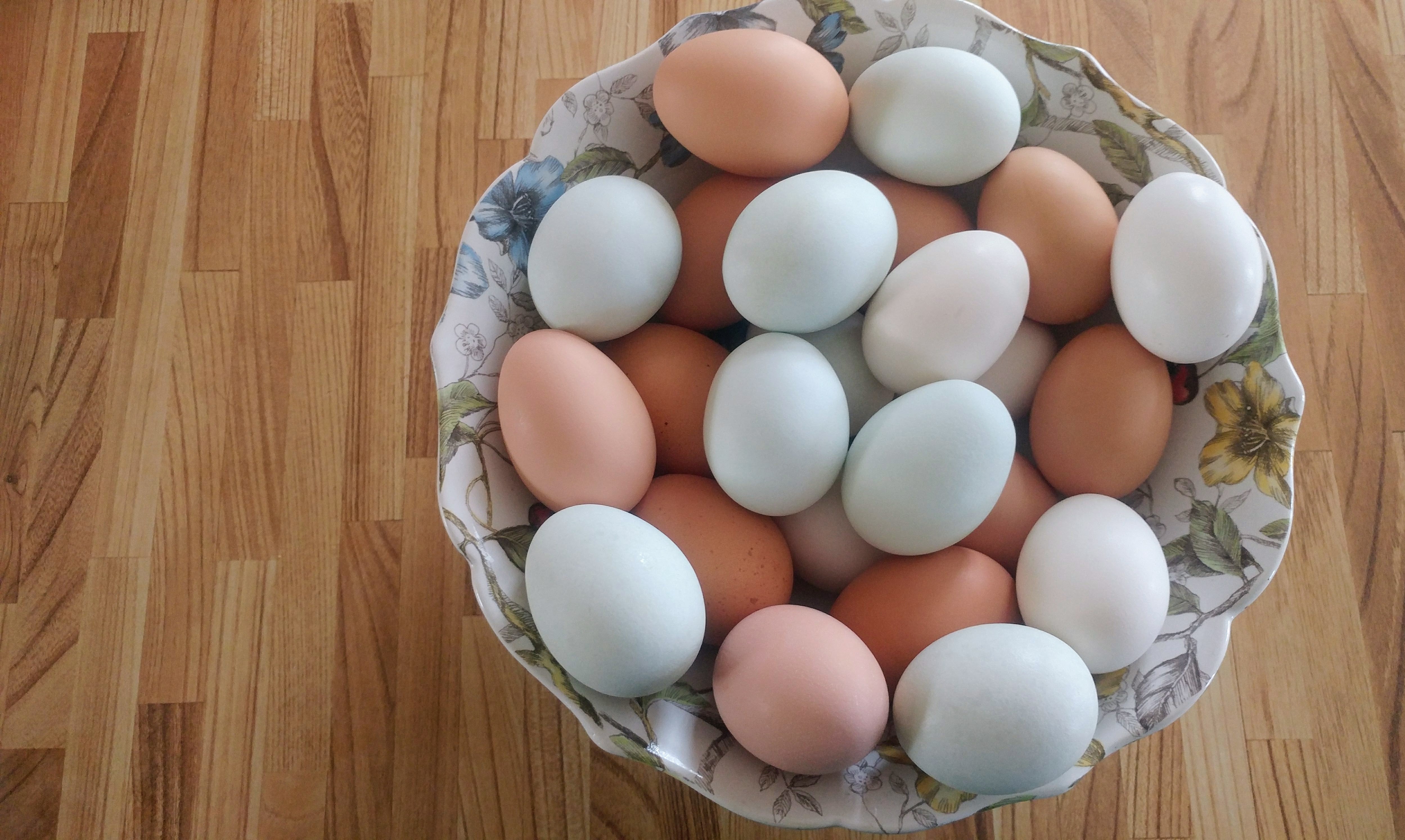 2022 CSA - Egg Subscription
