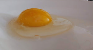 2022 CSA - Egg Subscription