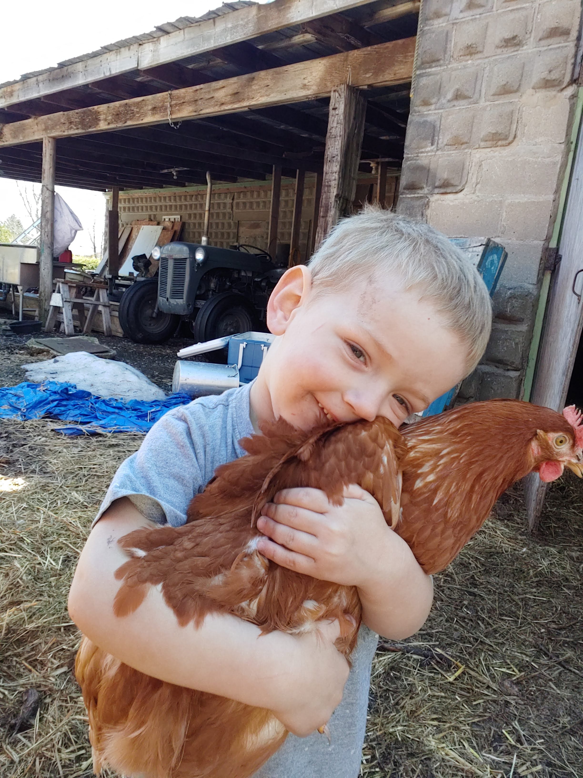 2022 CSA - Egg Subscription