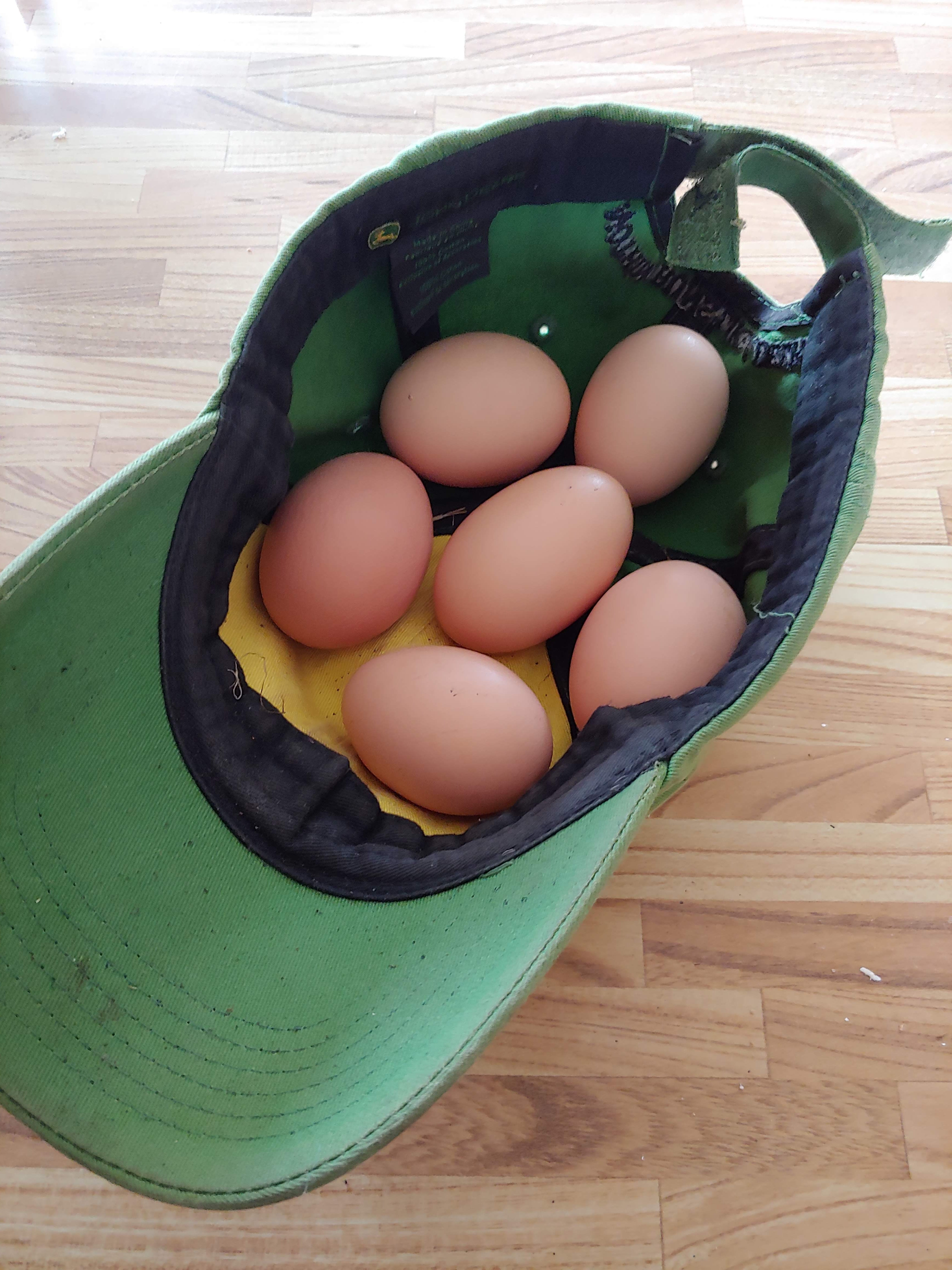 2022 CSA - Egg Subscription
