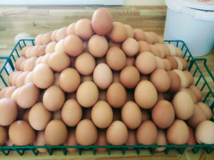 2022 CSA - Egg Subscription