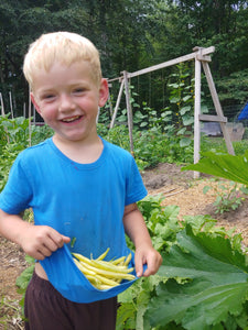 2023 Cumberland Market CSA - Weekly Vegetable Baskets