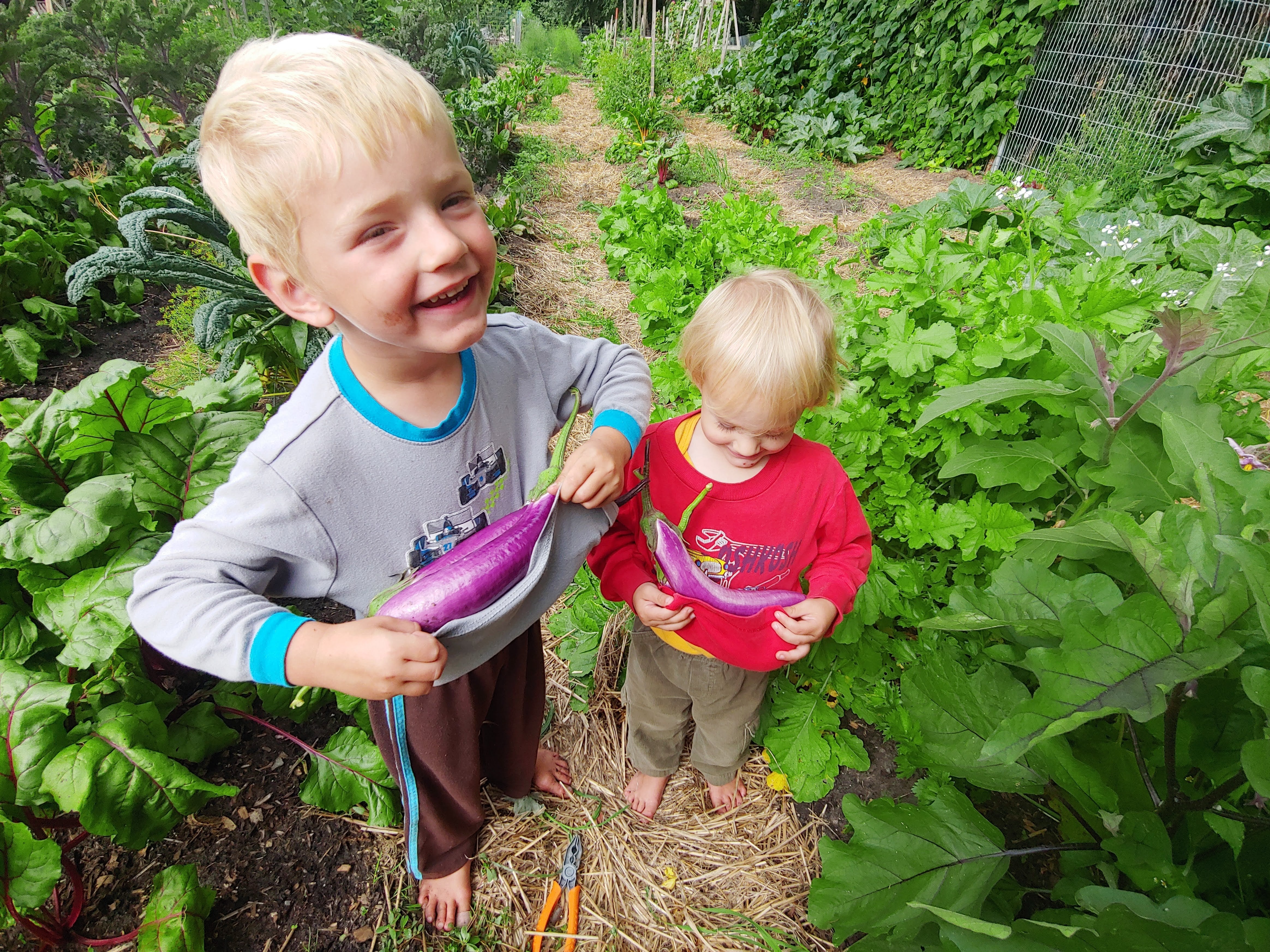 2023 Cumberland Market CSA - Weekly Vegetable Baskets