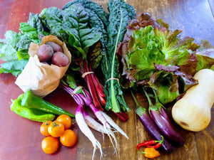 2023 Cumberland Market CSA - Weekly Vegetable Baskets