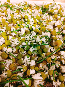Bodegold Chamomile