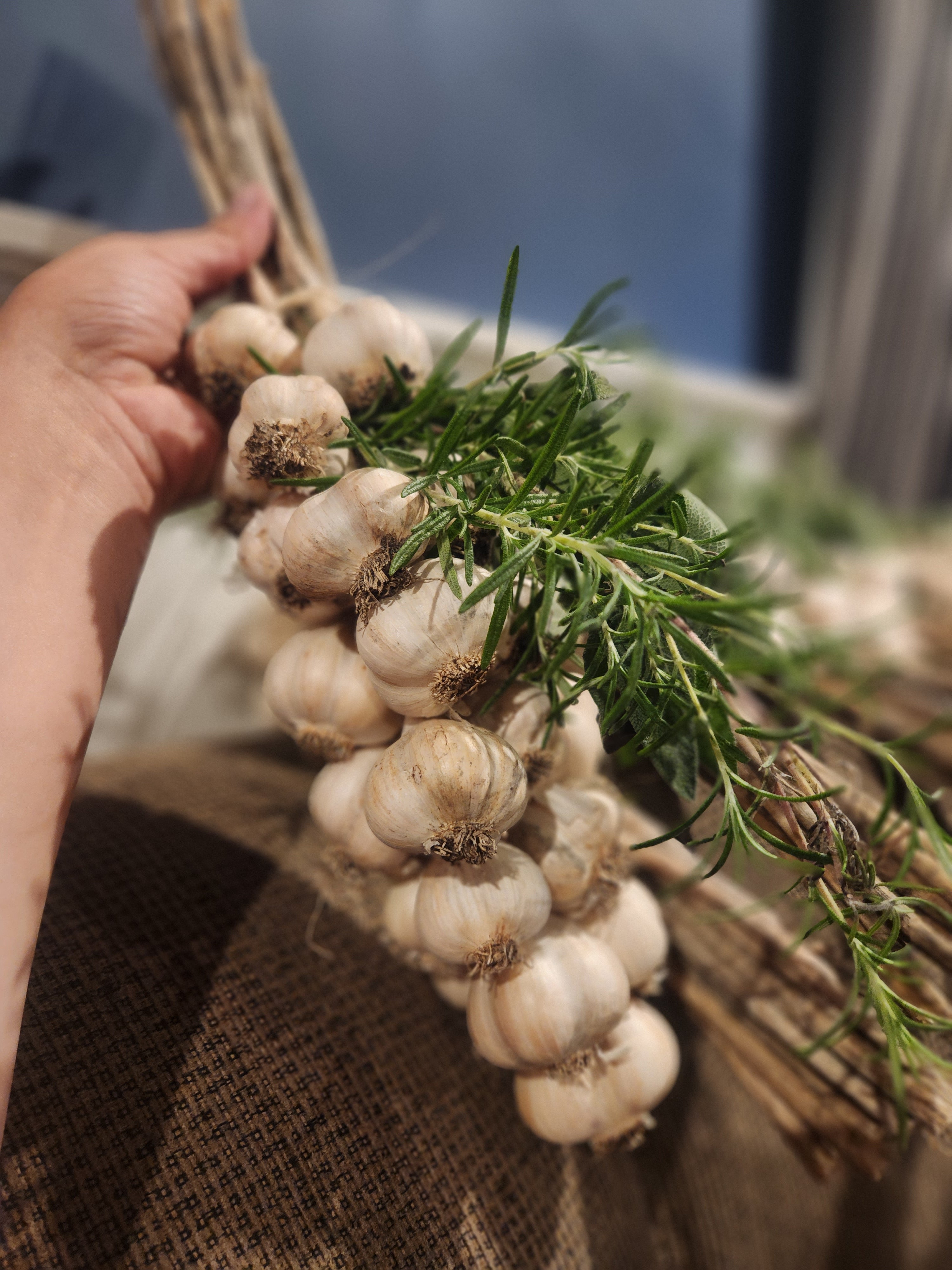 Garlic Braid