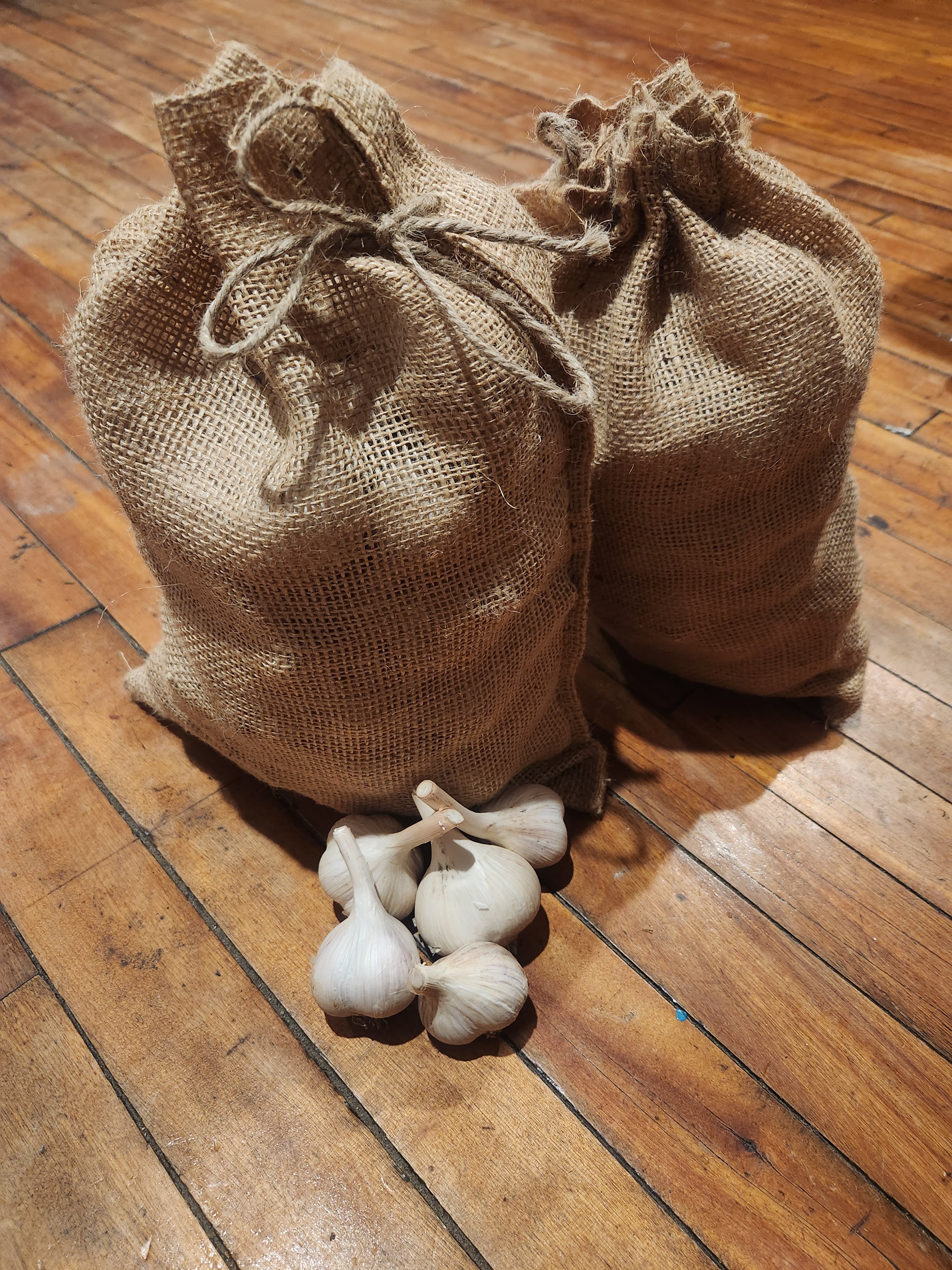 Garlic - Music
