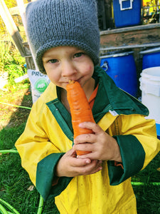 2023 Cumberland Market CSA - Weekly Vegetable Baskets
